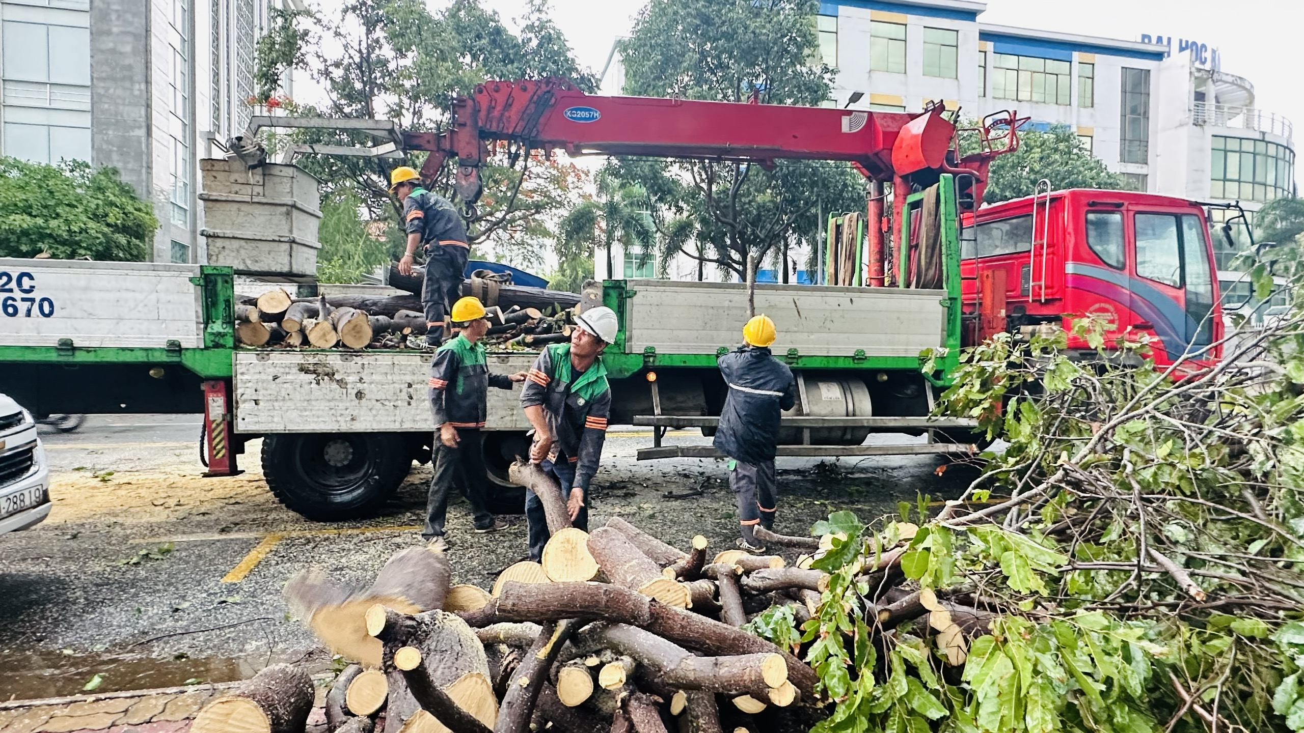 UPC đã huy động hàng chục công nhân, máy móc và phương tiện đến xử lý cây gãy đổ