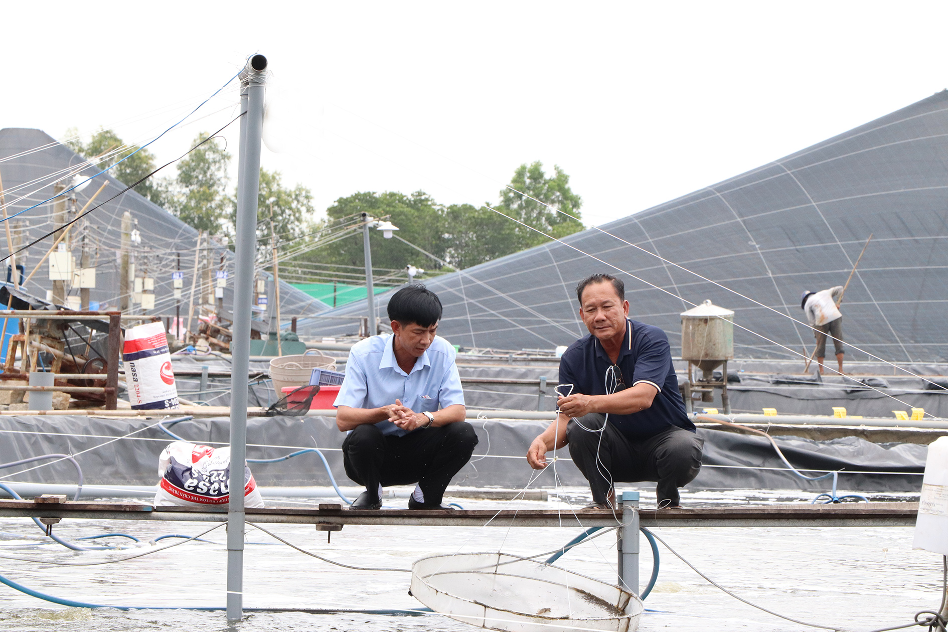  Ông Nguyễn Văn Lạc (bên phải), nông dân sản xuất, kinh doanh giỏi cấp tỉnh với mô hình nuôi tôm công nghệ cao tại xã Tam An, huyện Long Đất.