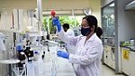 Phân bón Phú Mỹ ra mắt sản phẩm mới NPK sử dụng 100% Kali trắng
