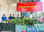 Chương trình 